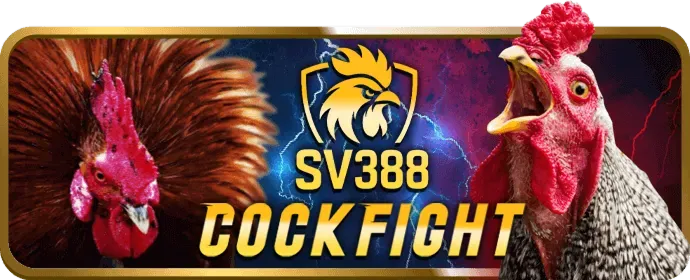 Ưu đãi độc quyền trên ứng dụng min88 win